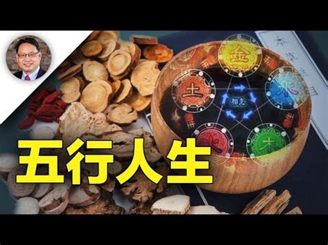 飲食業五行|【飲食業五行】飲食業的五行奧秘：火與水的交融